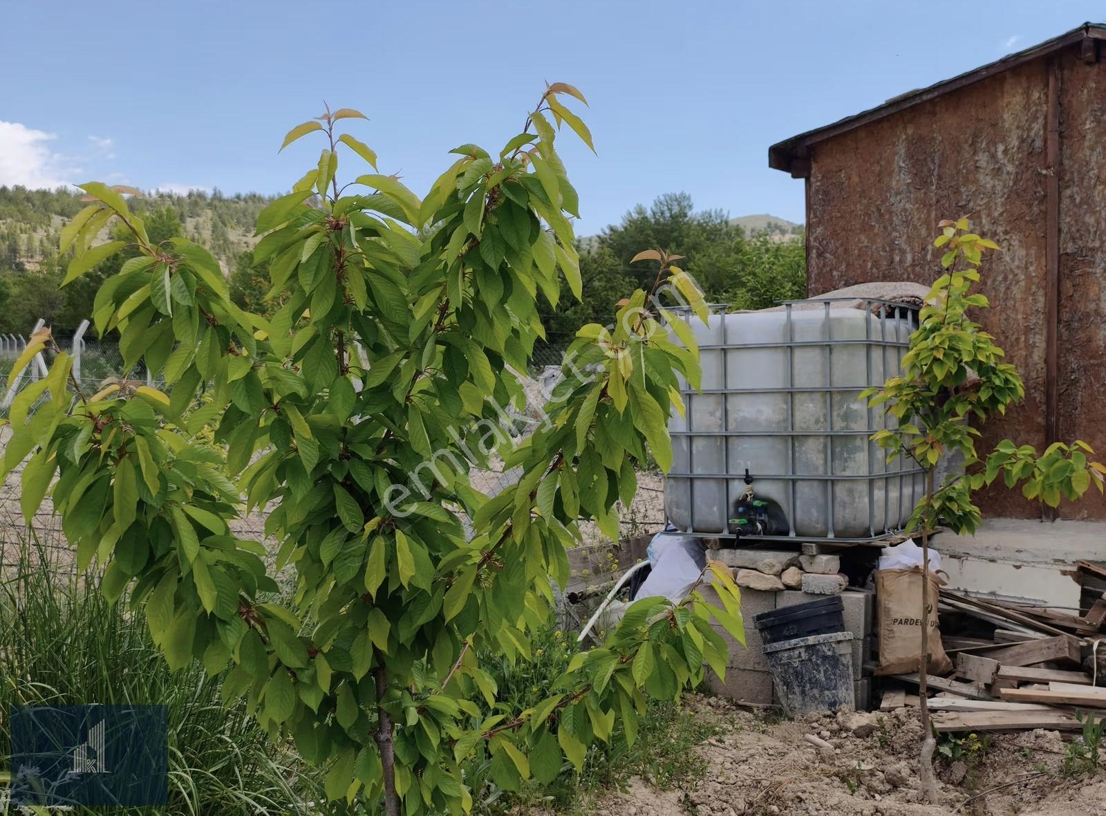 Küçükmuhsine'de Tapulu Hazır Kurulu Düzen 353 M2 Satılık Bahçe - Görsel 33