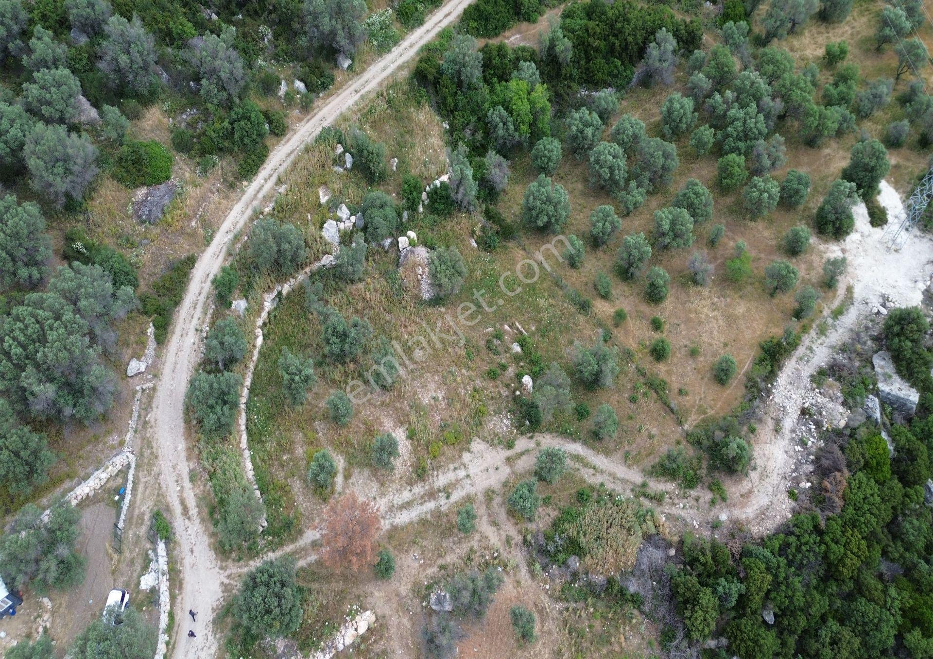 Eğlenhoca Mahallesi'nde 1277 M² Göl Manzaralı Yatırımlık Arazi - Görsel 23