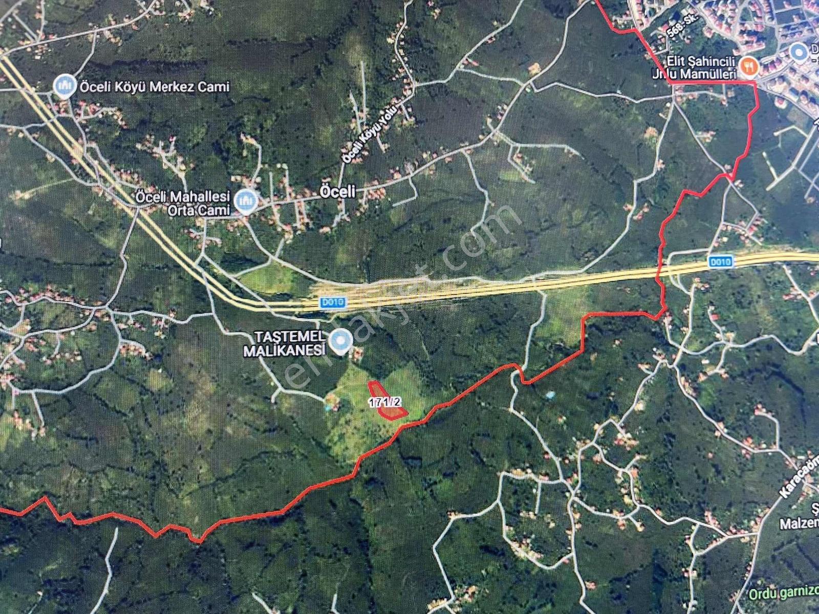 Ordu Altınordu Öcelide Yatırımlık Fındık Bahçesi!