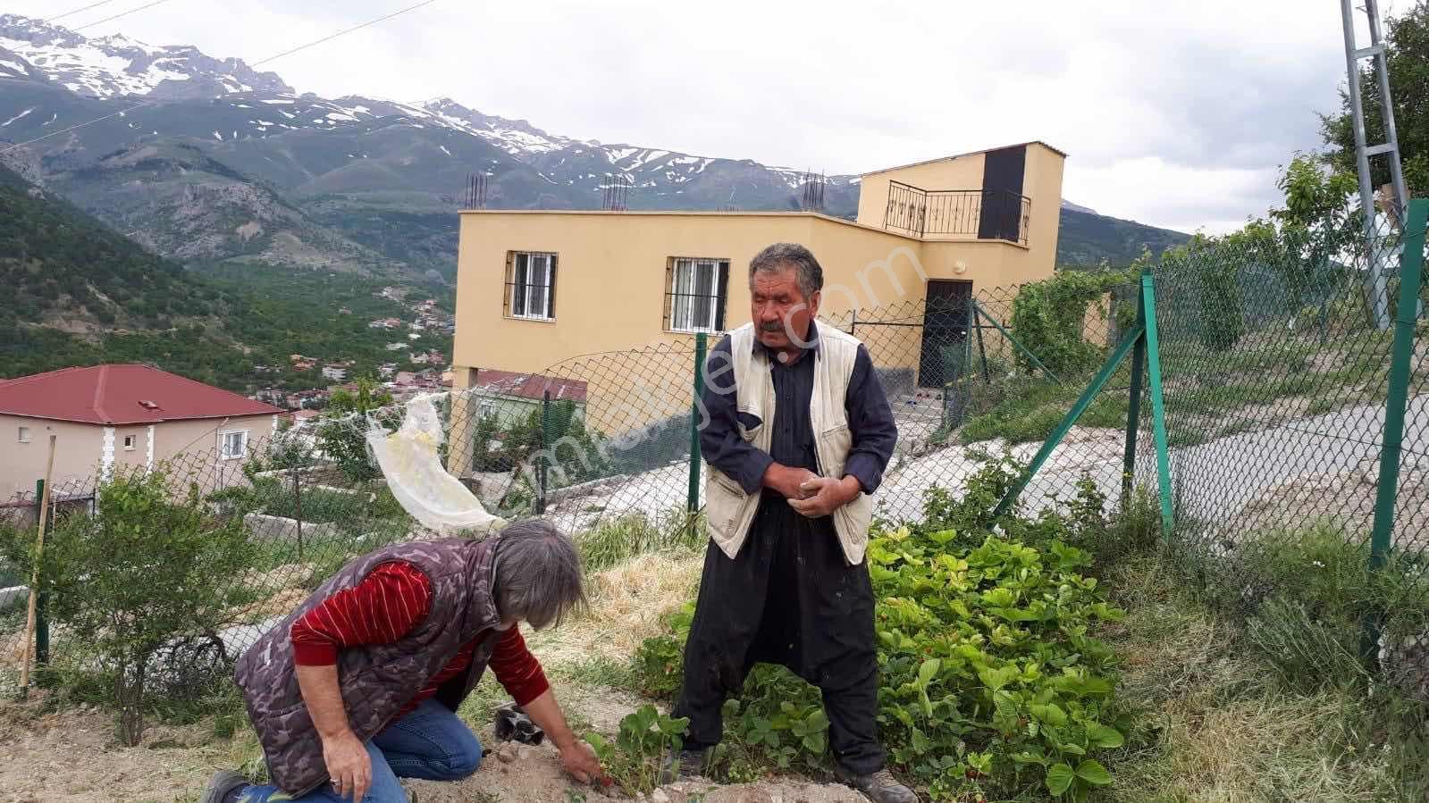 Darboğaz Cumhuriyet'te 844 M2 Meyve Bahçeli Arsamız Satılık - Görsel 8