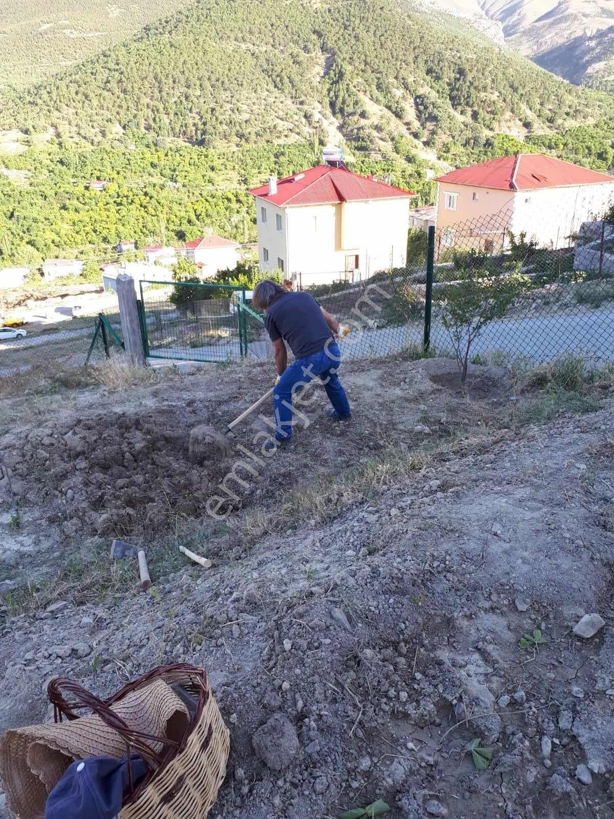 Darboğaz Cumhuriyet'te 844 M2 Meyve Bahçeli Arsamız Satılık - Görsel 2
