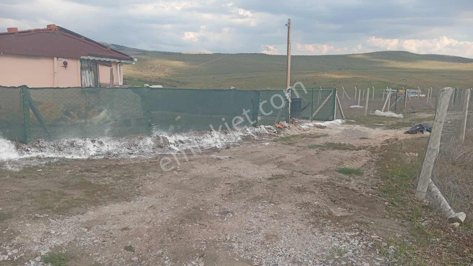 Çubuk Yukarı Çavundur Mah.de Yol Kenarı Satılık Hobi Bahçesi - Görsel 2