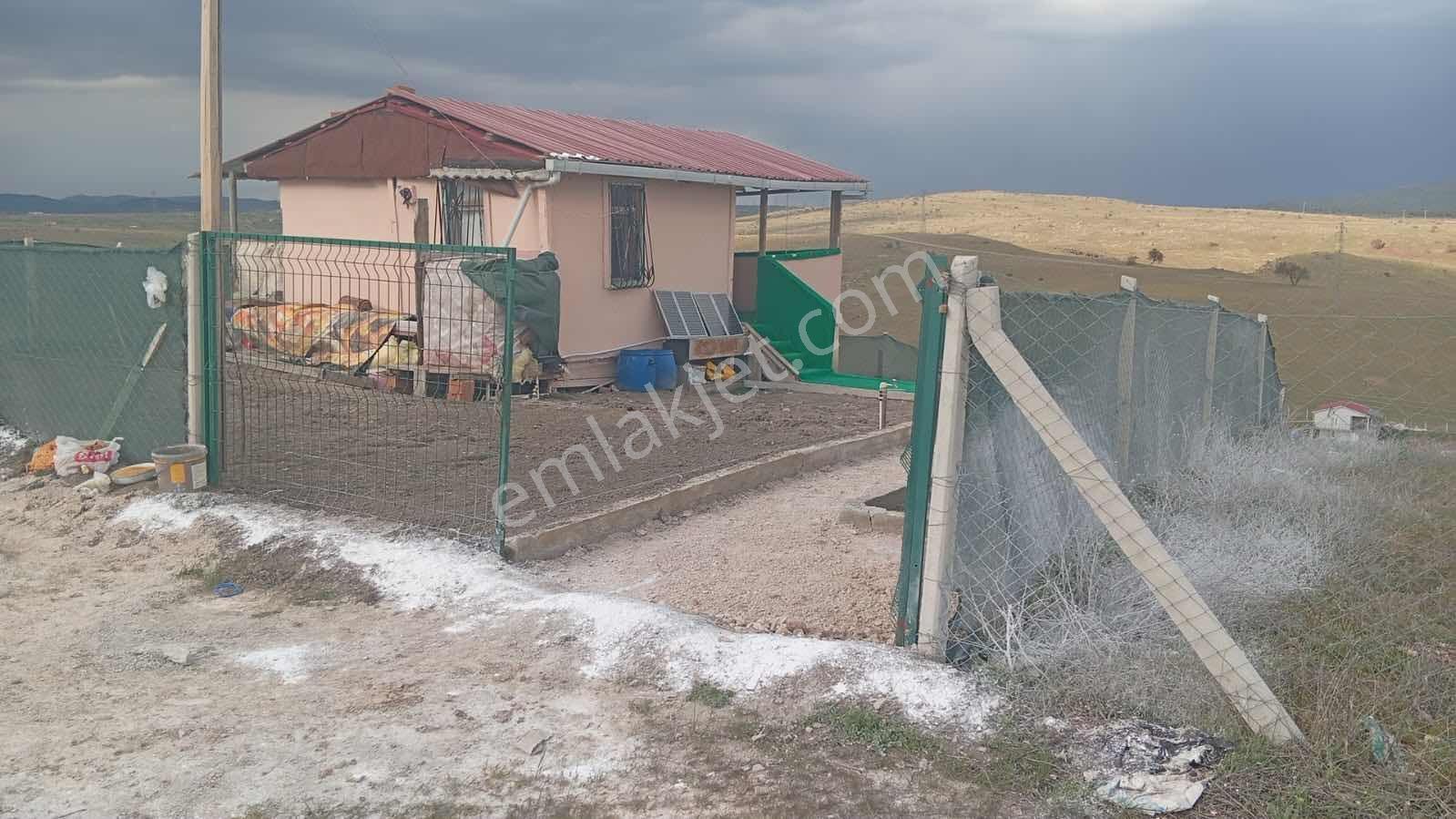Çubuk Yukarı Çavundur Mah.de Yol Kenarı Satılık Hobi Bahçesi