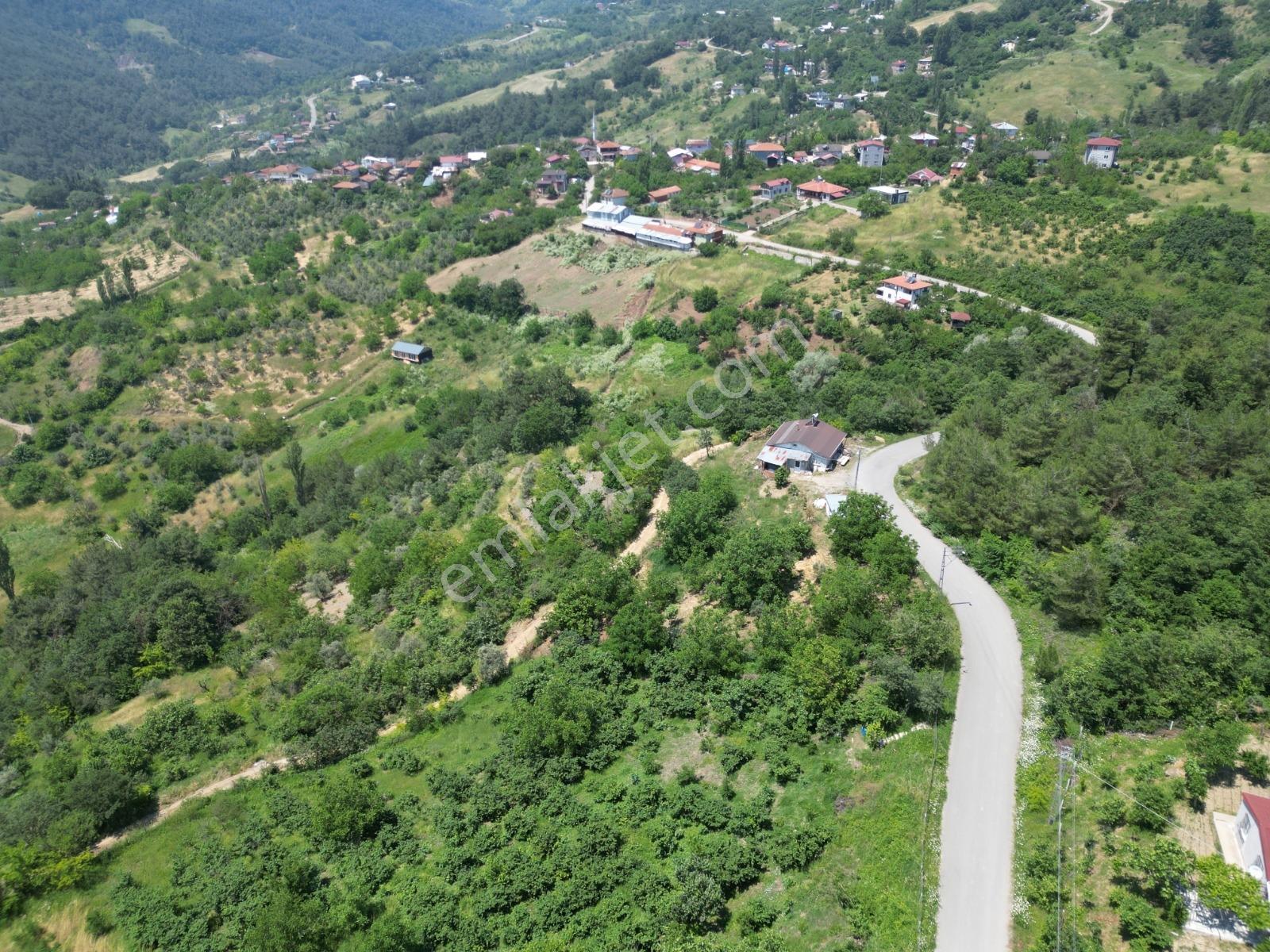 Melekşesolakta Manzaralı Yol Kenarı Satılık Ceviz Bahçesi - Görsel 23