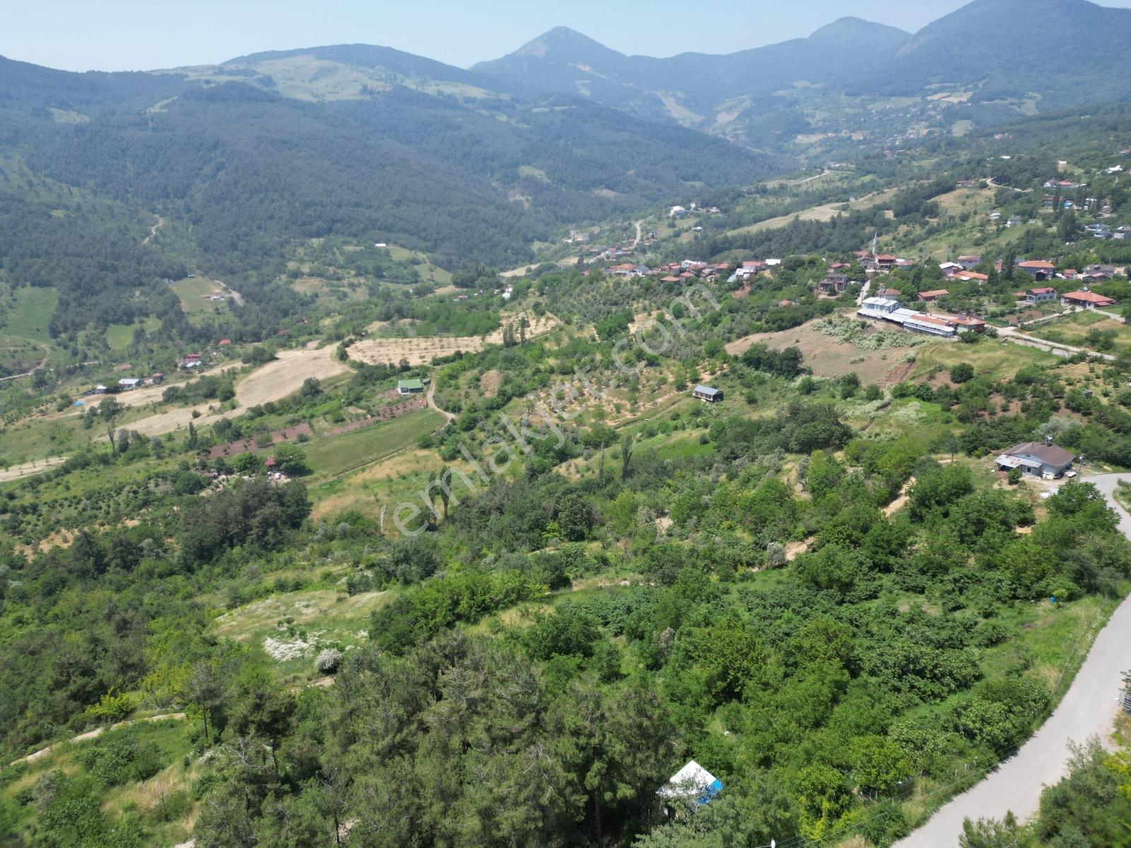 Melekşesolakta Manzaralı Yol Kenarı Satılık Ceviz Bahçesi - Görsel 11