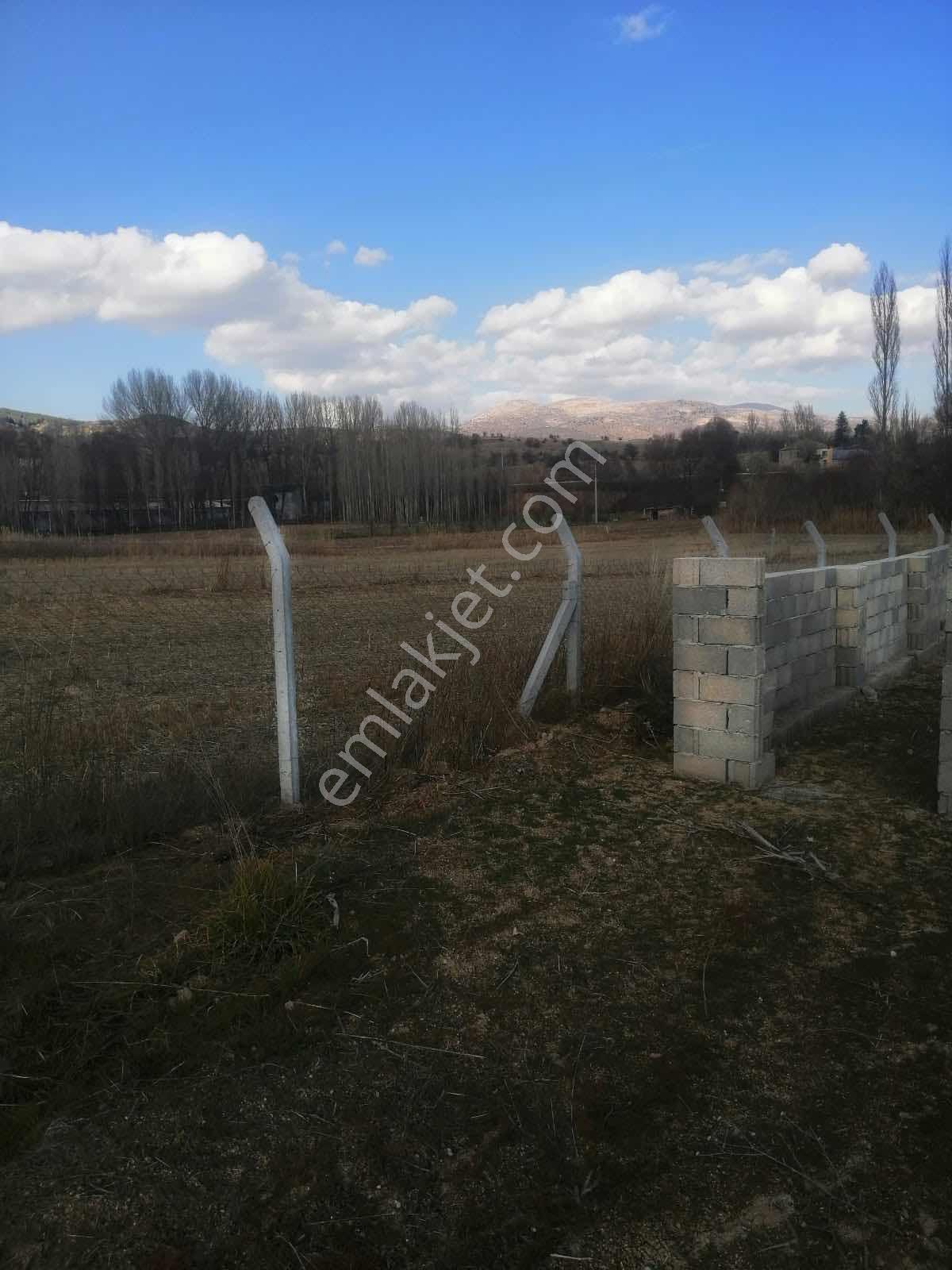 Saglık Ta Hayvancılıga Bahçeye Uygun Evler+elektrık+kuyu+yol+tel - Görsel 7