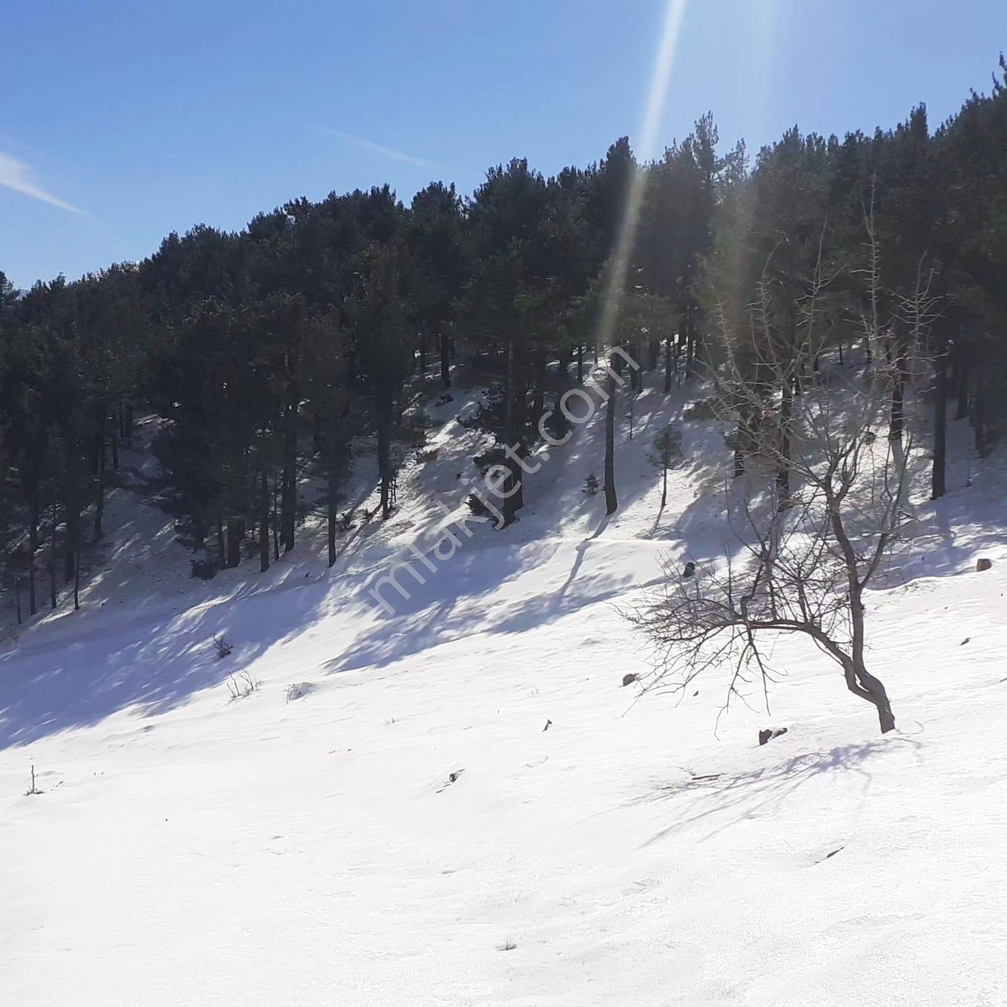 Kar Emlaktan Yenikonacık Bozkırlıda 400m2 Satılık Arsa - Görsel 6