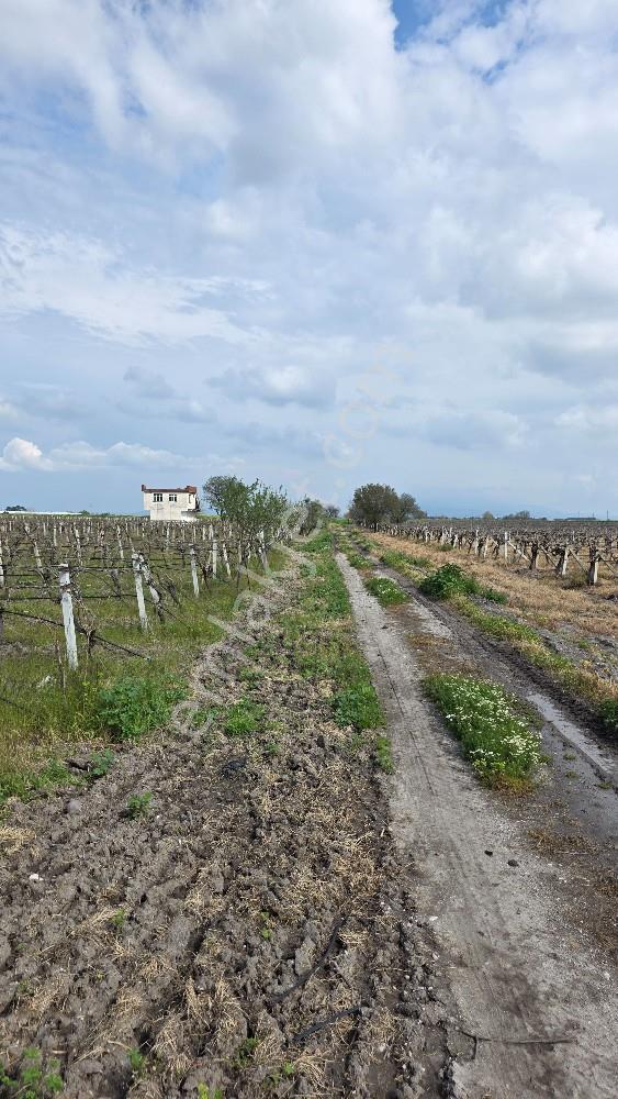 Manisa /şehzadeler/ Tilkisüleymaniye’de 16.750 M² – 70m Yol Ce - Görsel 12