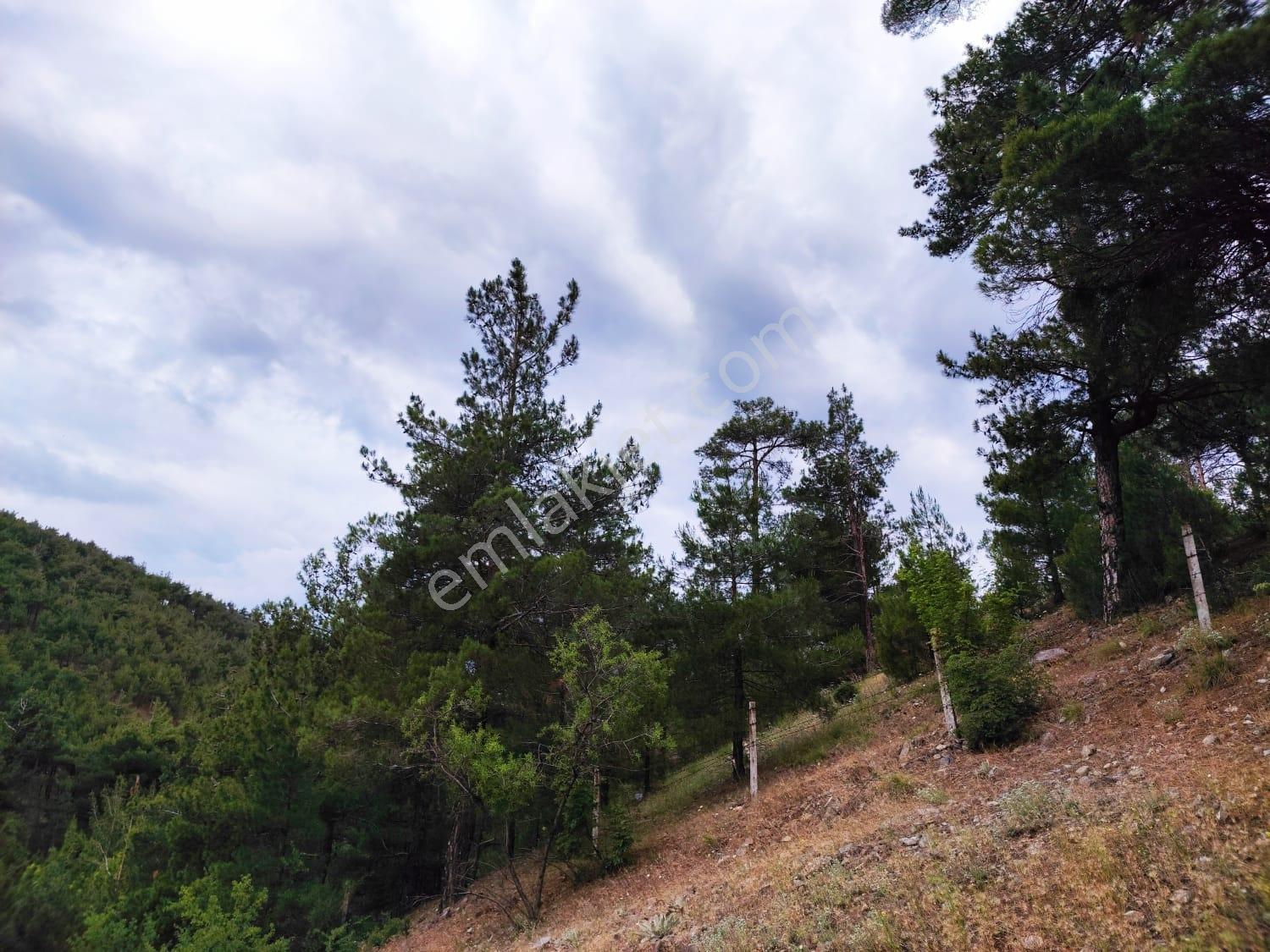 Kar Emlaktan Pozantıda İstiklal Mah. 5kata İmarlı 400m2 Arsa - Görsel 30