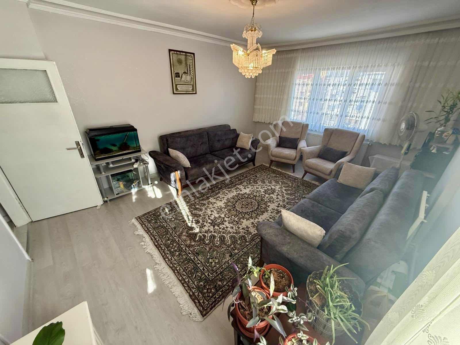 Daire – Sincan, Plevne - Daha fazla