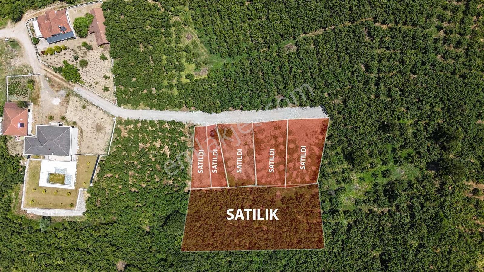 Karasu Da Topraga Yatırım Yapan Kazanır Takasa Açık - Görsel 5