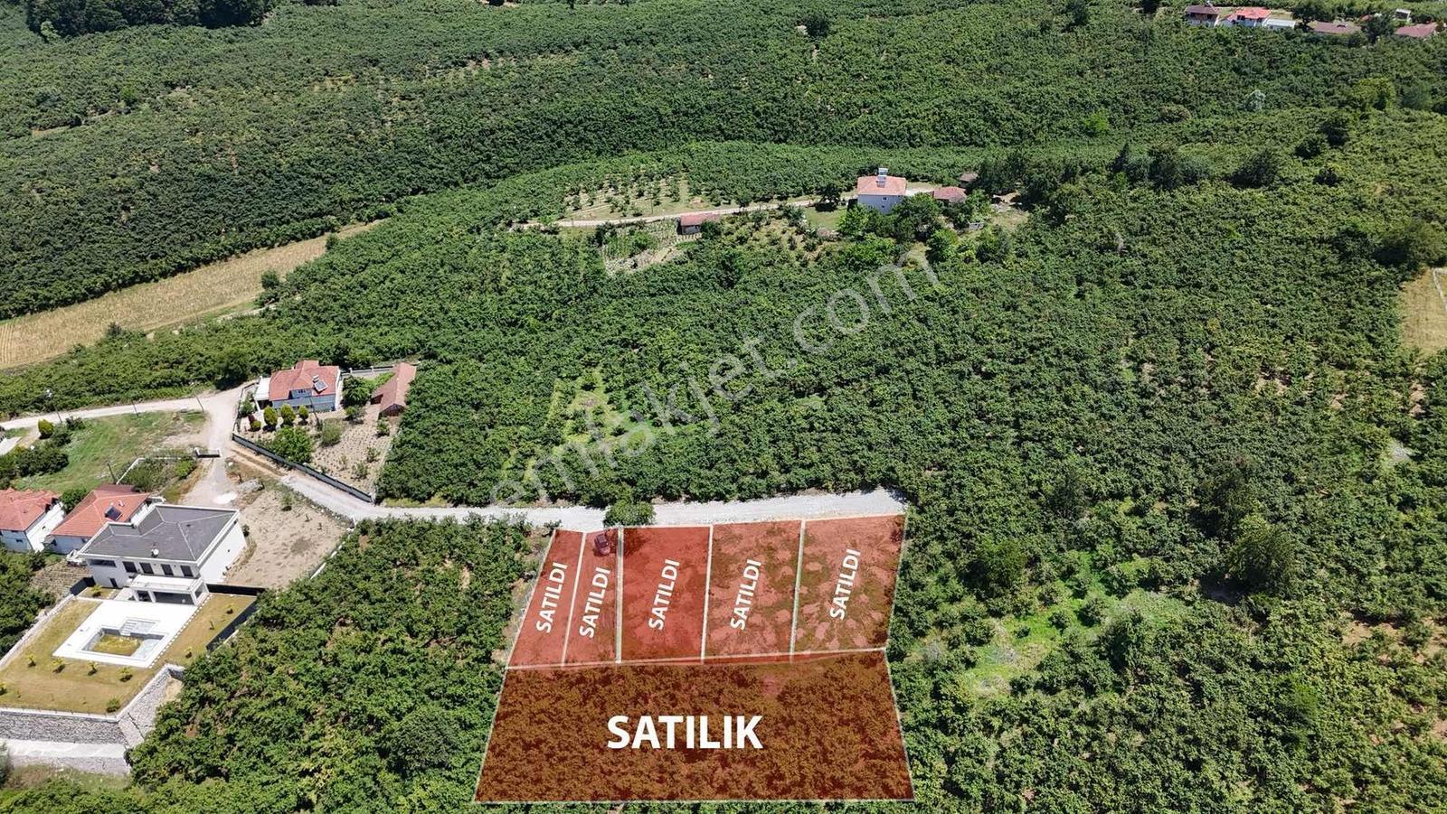 Karasu Da Topraga Yatırım Yapan Kazanır Takasa Açık - Görsel 3
