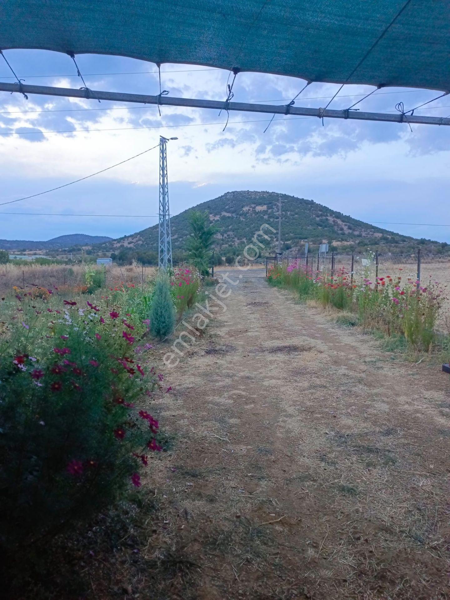 Uzman Emlaktan Seydişehir Yenice Mah,de Satılık Tarla - Görsel 6