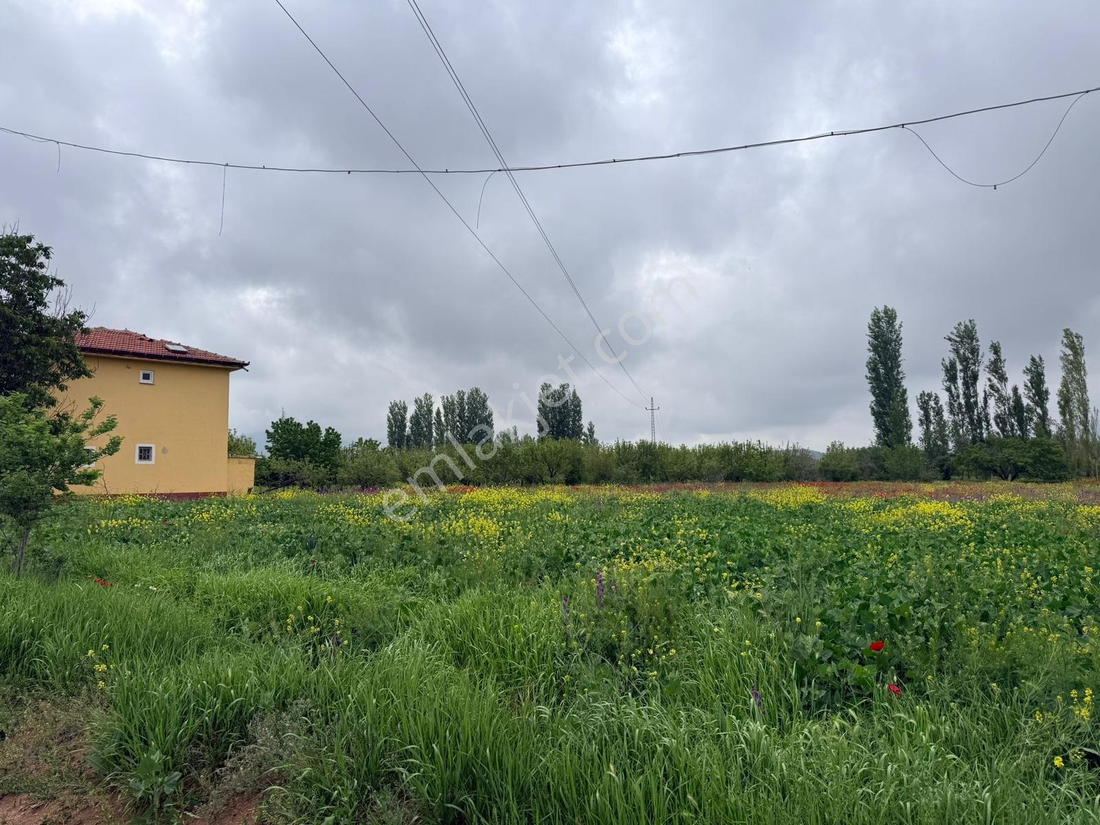 Halkapınar Ve Tont Yolu Üzerinde 15 Evlek Bahçeli Villa - Görsel 19