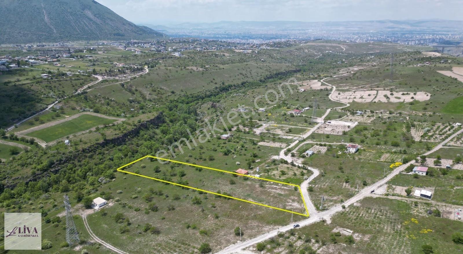 Liva'dan Reşadiye'de 7677 M² Tek Tapu Bağ - Görsel 8
