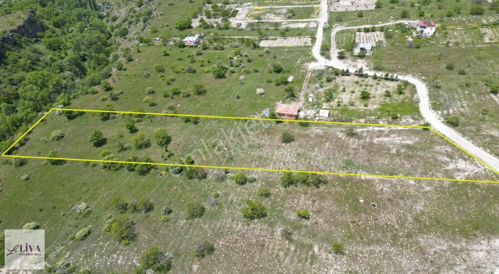Liva'dan Reşadiye'de 7677 M² Tek Tapu Bağ
