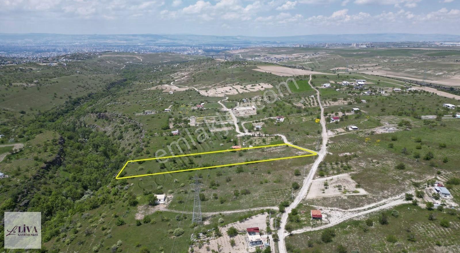 Liva'dan Reşadiye'de 7677 M² Tek Tapu Bağ - Görsel 11