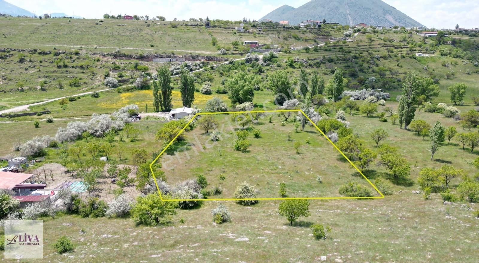 Liva'dan Reşadiye'de 6192 M² Tek Tapu Bağ - Görsel 7