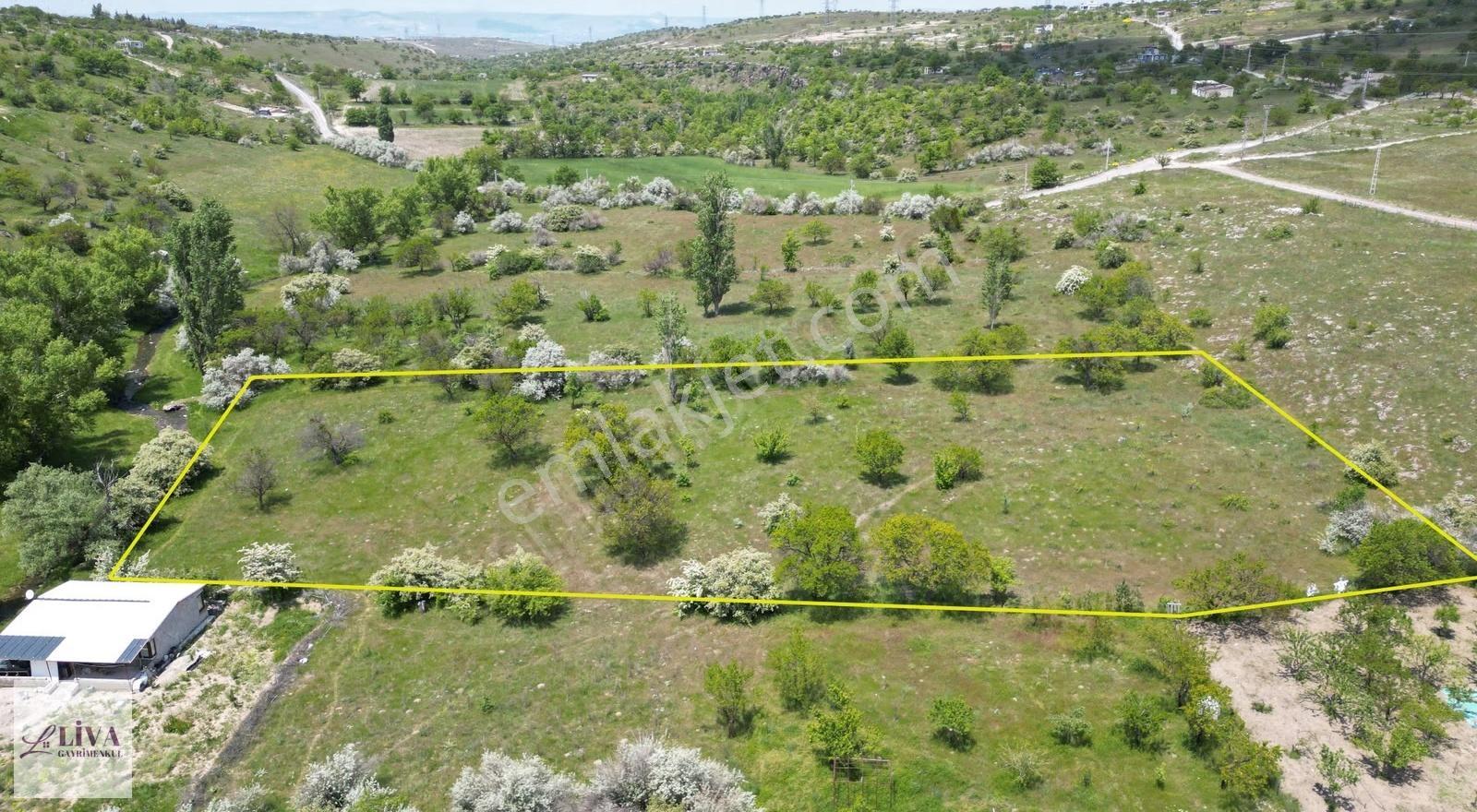 Liva'dan Reşadiye'de 6192 M² Tek Tapu Bağ - Görsel 4