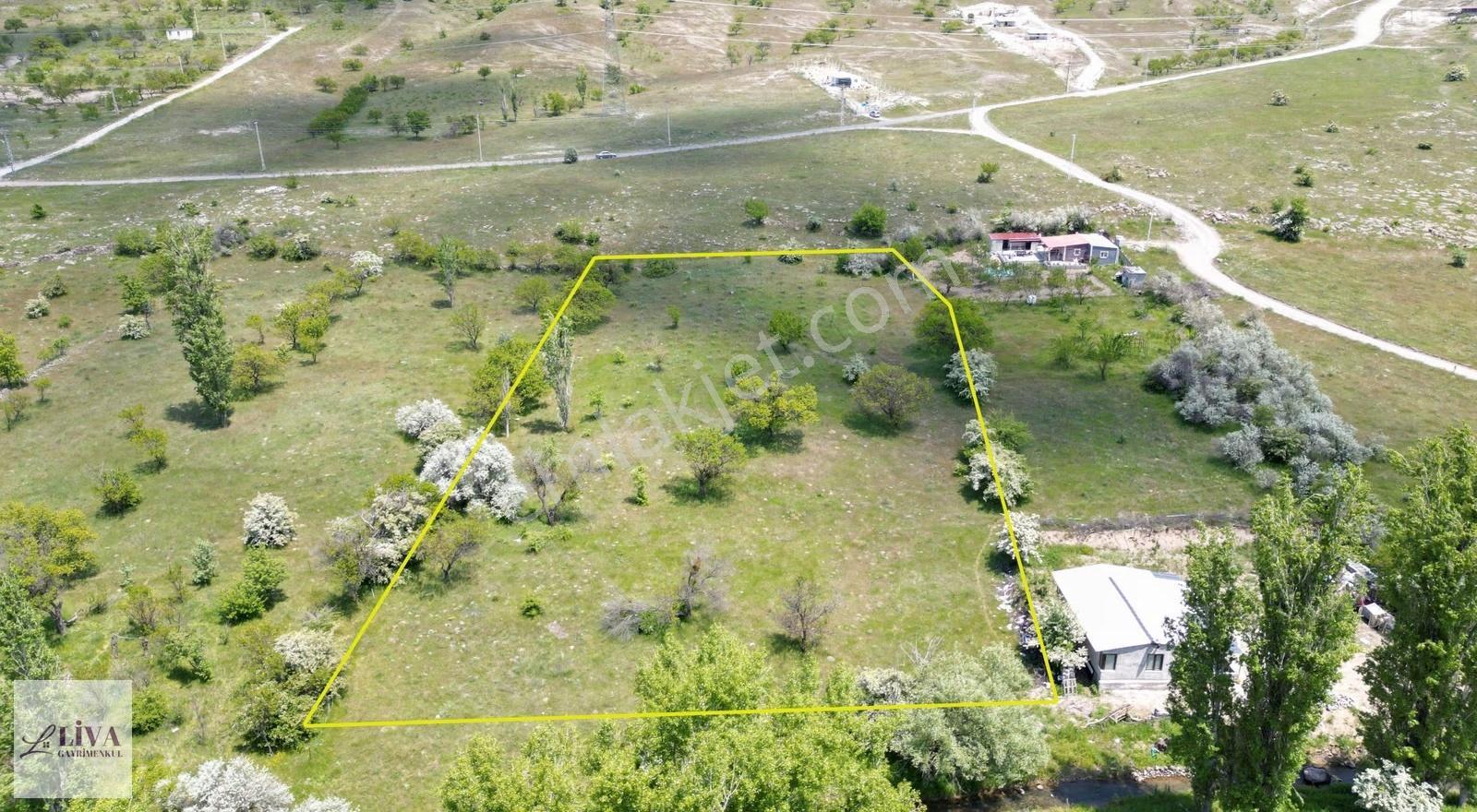 Liva'dan Reşadiye'de 6192 M² Tek Tapu Bağ - Görsel 2