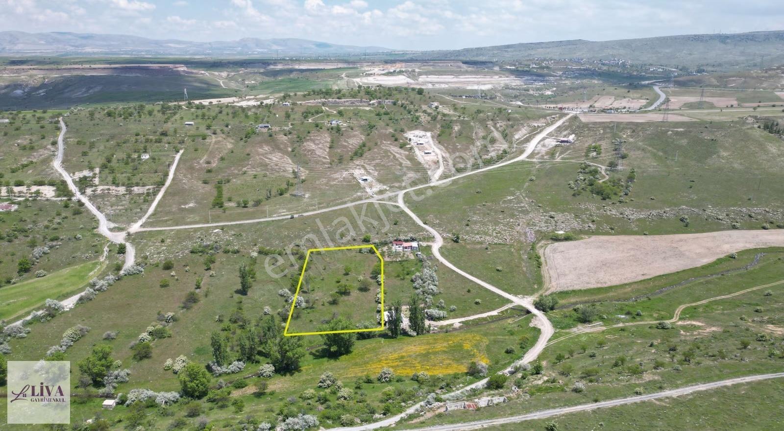 Liva'dan Reşadiye'de 6192 M² Tek Tapu Bağ - Görsel 13