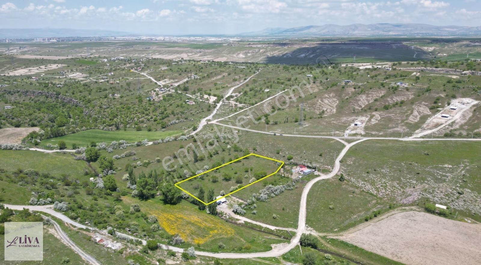 Liva'dan Reşadiye'de 6192 M² Tek Tapu Bağ - Görsel 8