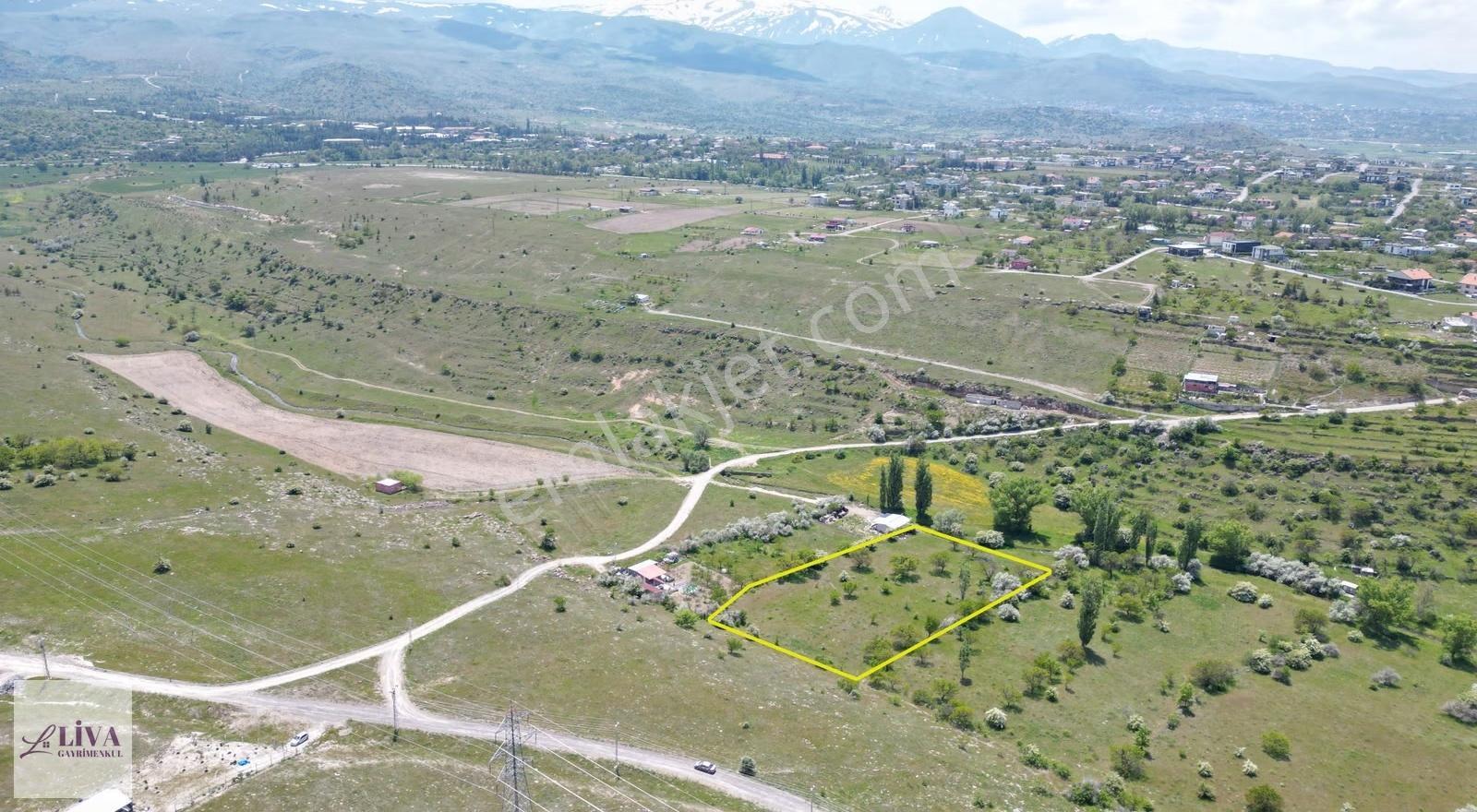 Liva'dan Reşadiye'de 6192 M² Tek Tapu Bağ - Görsel 9