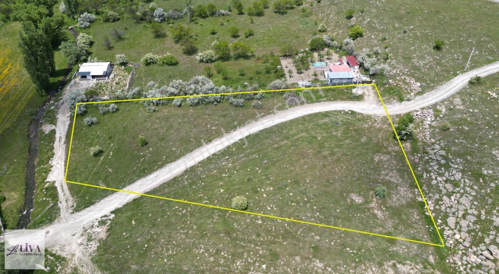 Liva'dan Reşadiye'de 5833 M² Tek Tapu Bağ - Görsel 8