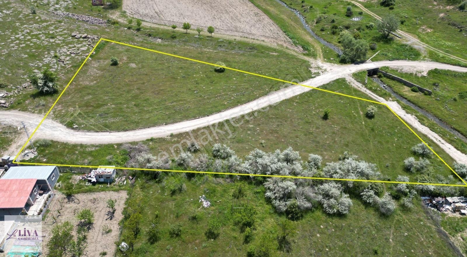 Liva'dan Reşadiye'de 5833 M² Tek Tapu Bağ - Görsel 11