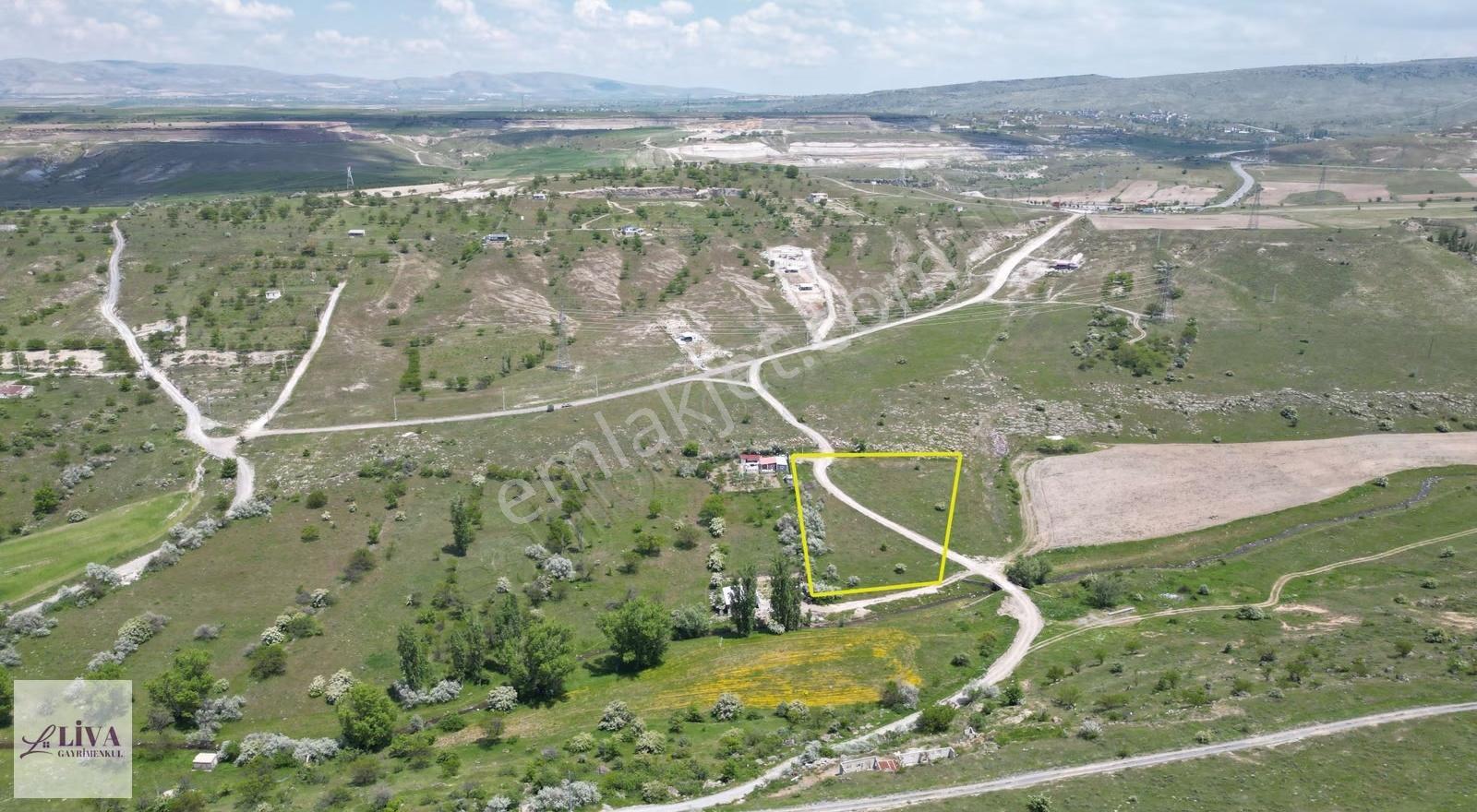 Liva'dan Reşadiye'de 5833 M² Tek Tapu Bağ - Görsel 14