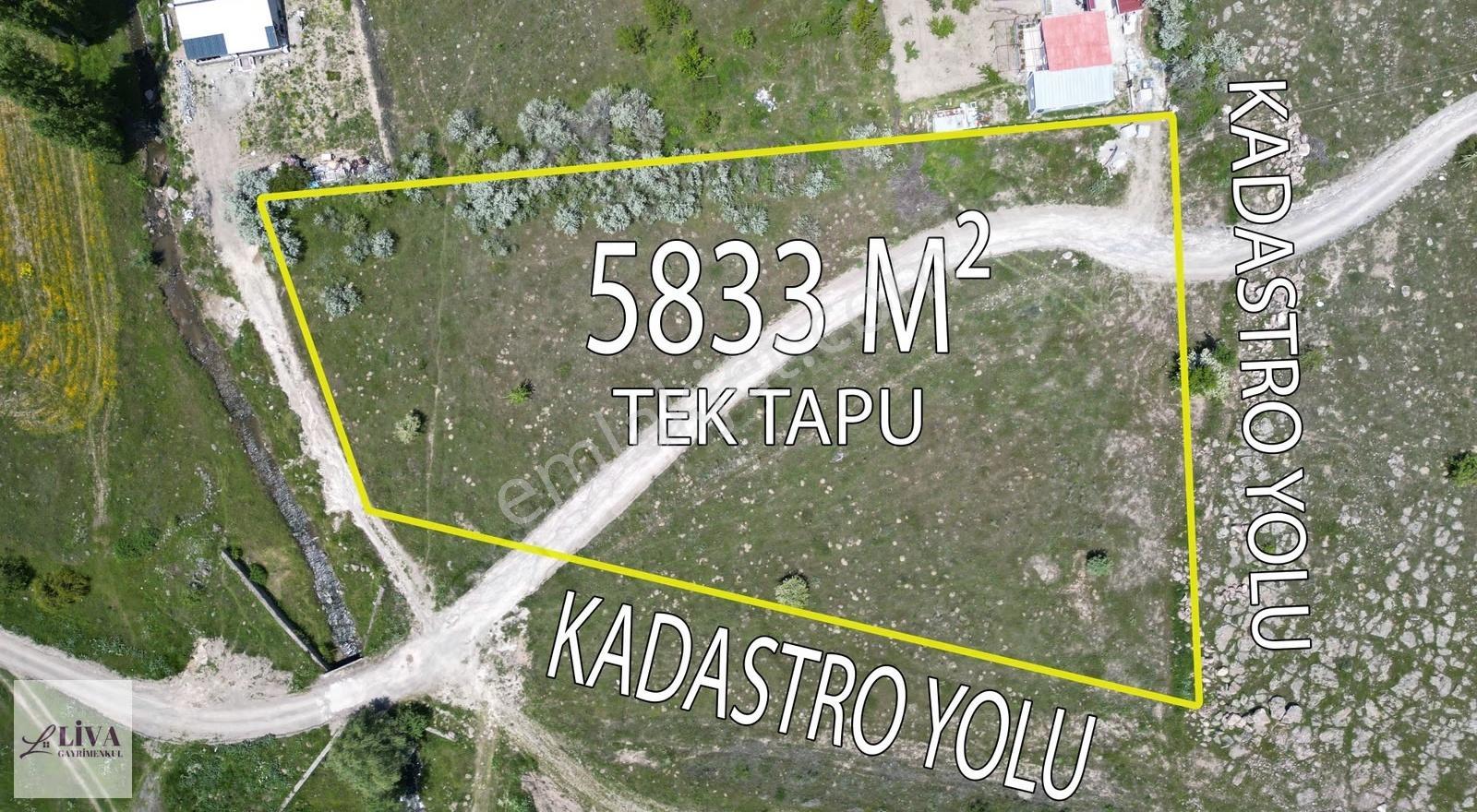 Liva'dan Reşadiye'de 5833 M² Tek Tapu Bağ