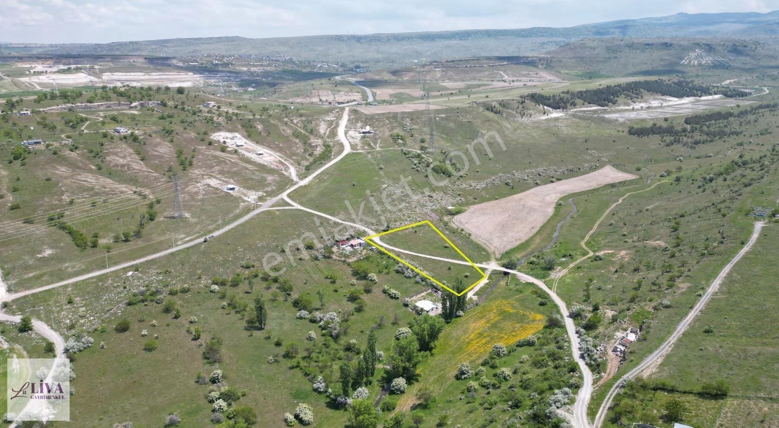 Liva'dan Reşadiye'de 5833 M² Tek Tapu Bağ - Görsel 12