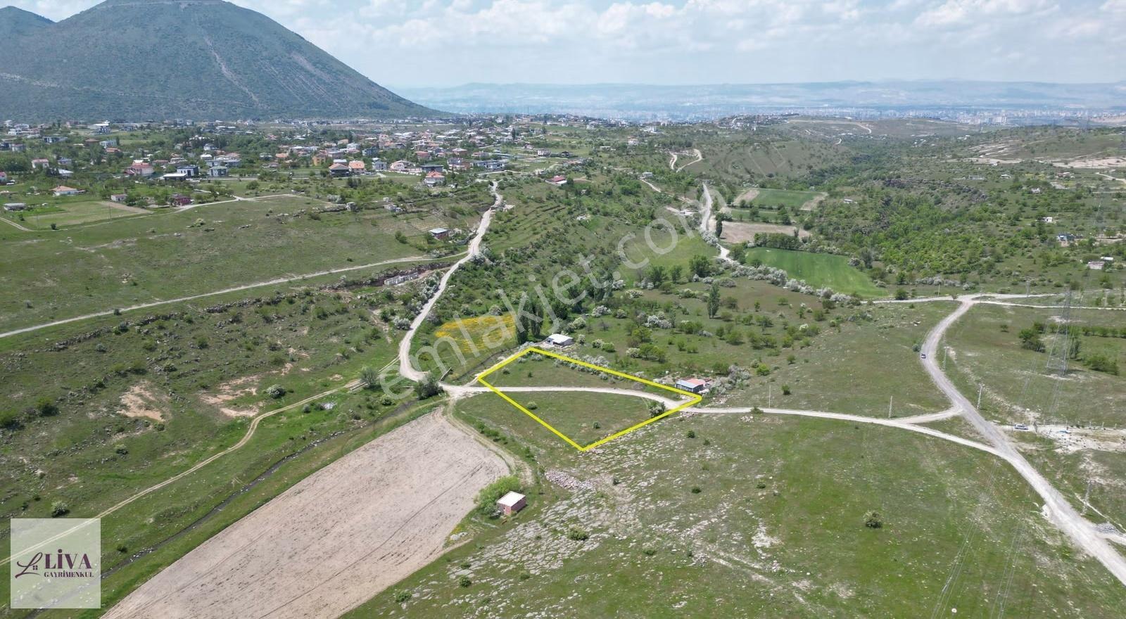 Liva'dan Reşadiye'de 5833 M² Tek Tapu Bağ - Görsel 13