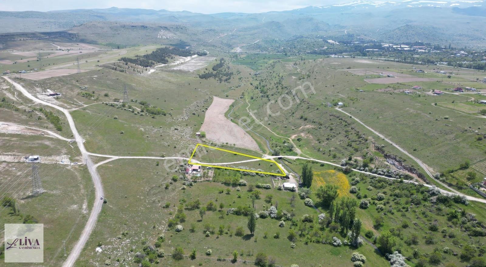 Liva'dan Reşadiye'de 5833 M² Tek Tapu Bağ - Görsel 7