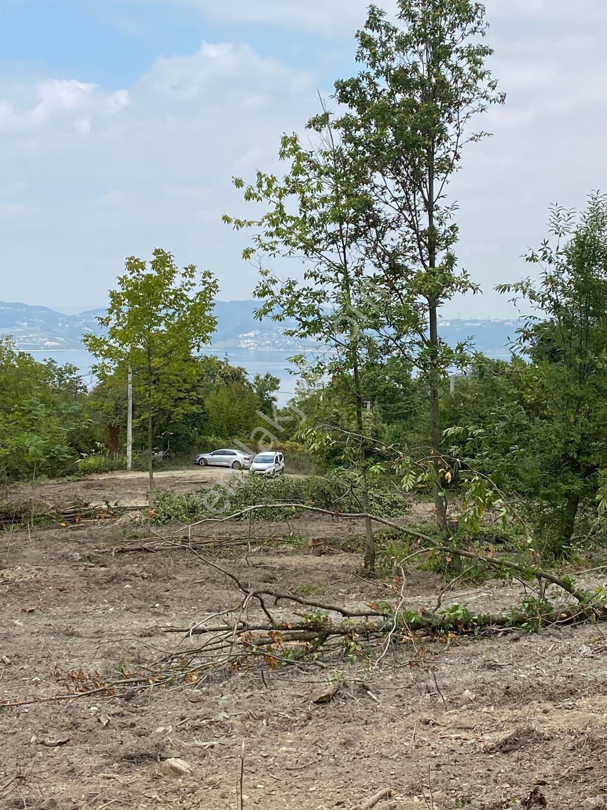 Remaxhür Esra Zurnacı'dan Sapanca Göl Manzaralı Yatırımlık Arazi - Görsel 5
