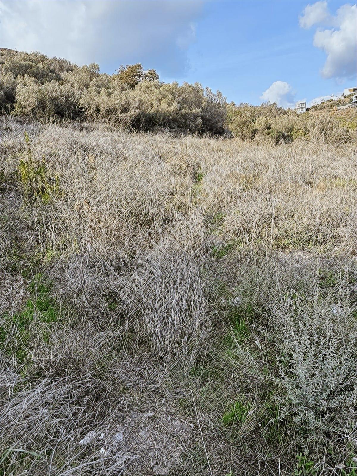 Akbaşlar'dan Bodrum'a Çok Yakın Boğaziçi'nde Fırsat Arsa - Görsel 5