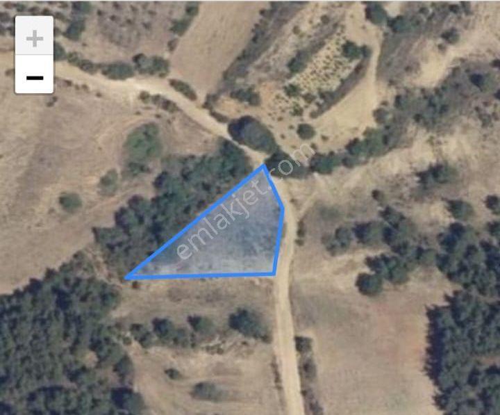 Yenişehir Çelebi Köyü'nde Tam Hisseli 1.122,28 M² Yatırımlık Tarla! - Görsel 4