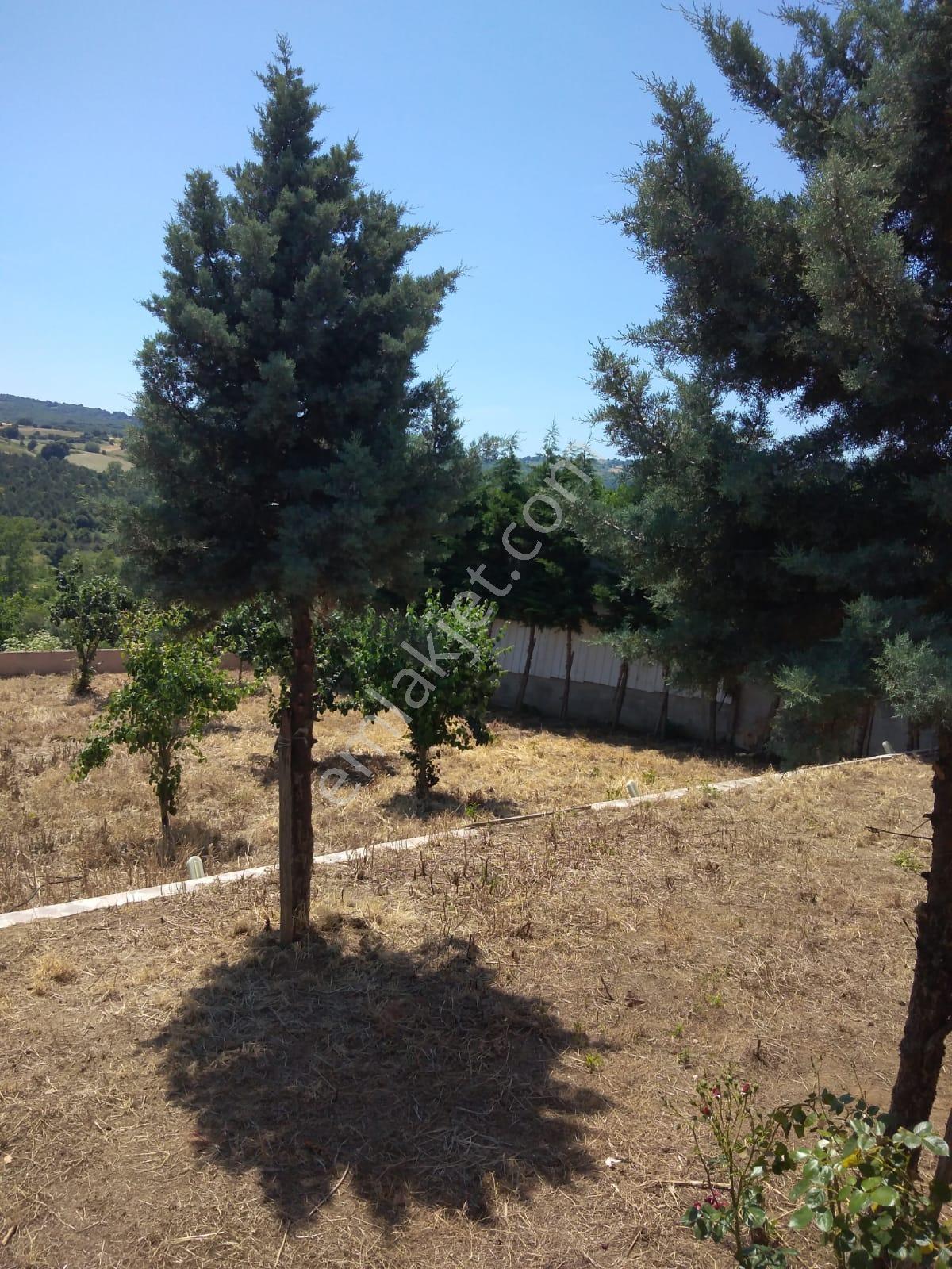 Bursa Kılıç Tan Biga Akyaprak Ta Satılık 4+1 Ev Ve 1028 M2 Arsa - Görsel 11