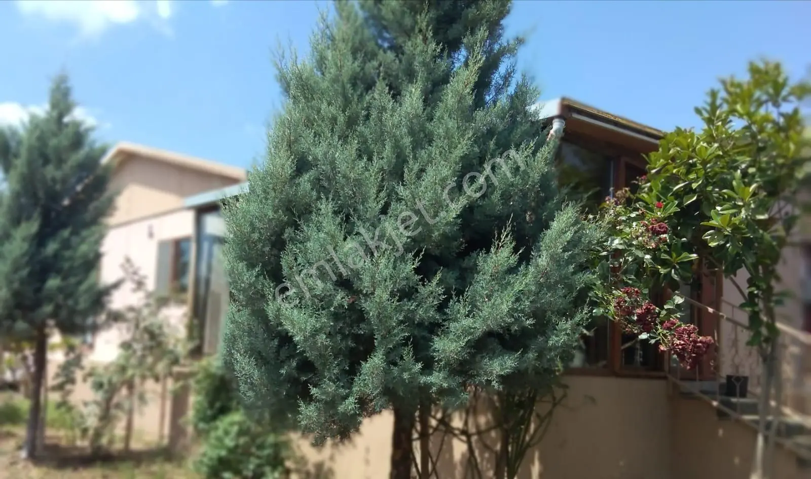 Bursa Kılıç Tan Biga Akyaprak Ta Satılık 4+1 Ev Ve 1028 M2 Arsa - Görsel 3