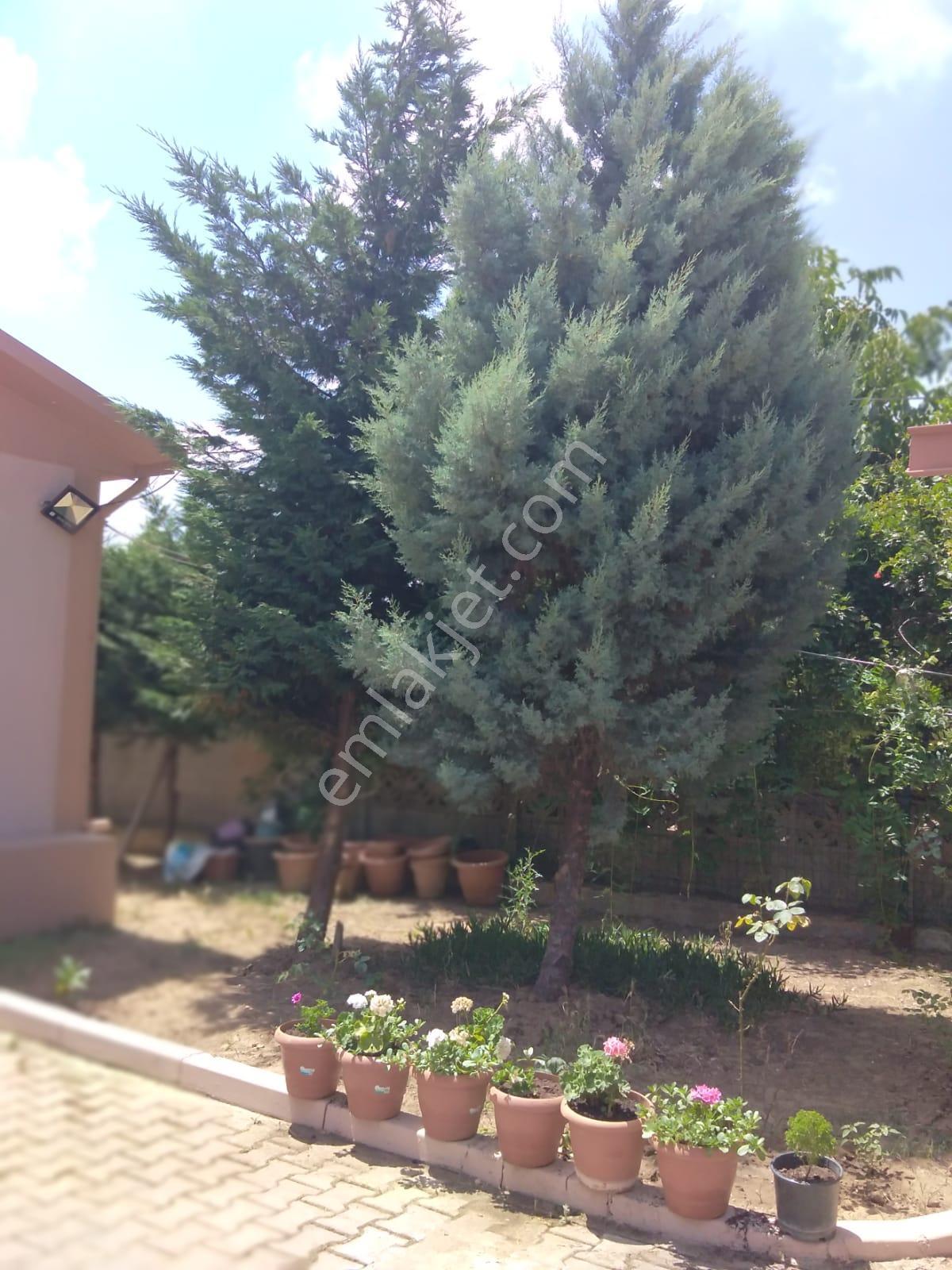 Bursa Kılıç Tan Biga Akyaprak Ta Satılık 4+1 Ev Ve 1028 M2 Arsa - Görsel 9