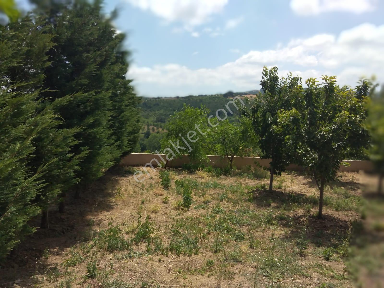 Bursa Kılıç Tan Biga Akyaprak Ta Satılık 4+1 Ev Ve 1028 M2 Arsa - Görsel 8