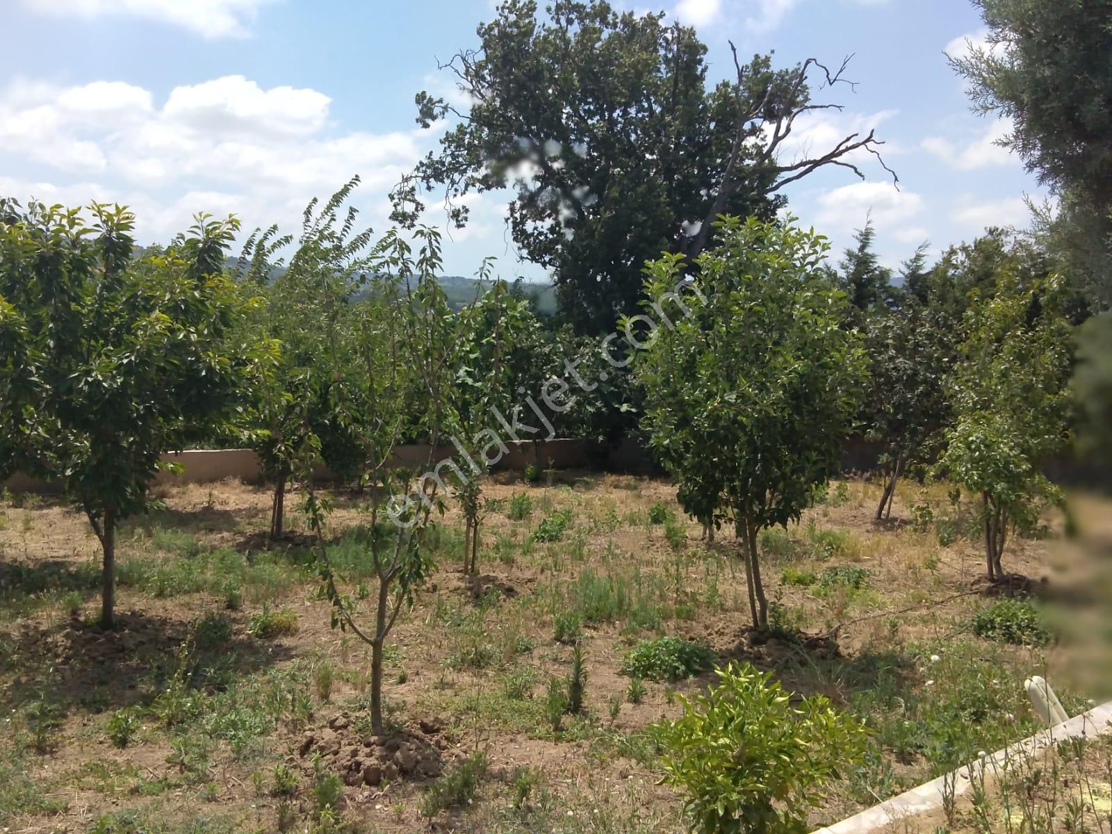 Bursa Kılıç Tan Biga Akyaprak Ta Satılık 4+1 Ev Ve 1028 M2 Arsa - Görsel 7