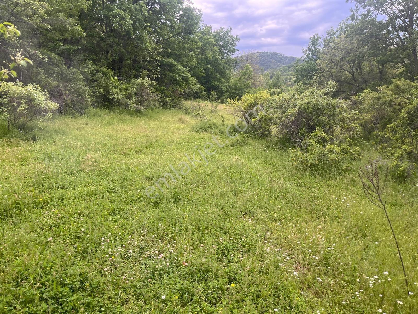 461 Mt Dere Kenarında.kızılcahamama 5 Dakika Uzaklıkta.tek Tapu - Görsel 10
