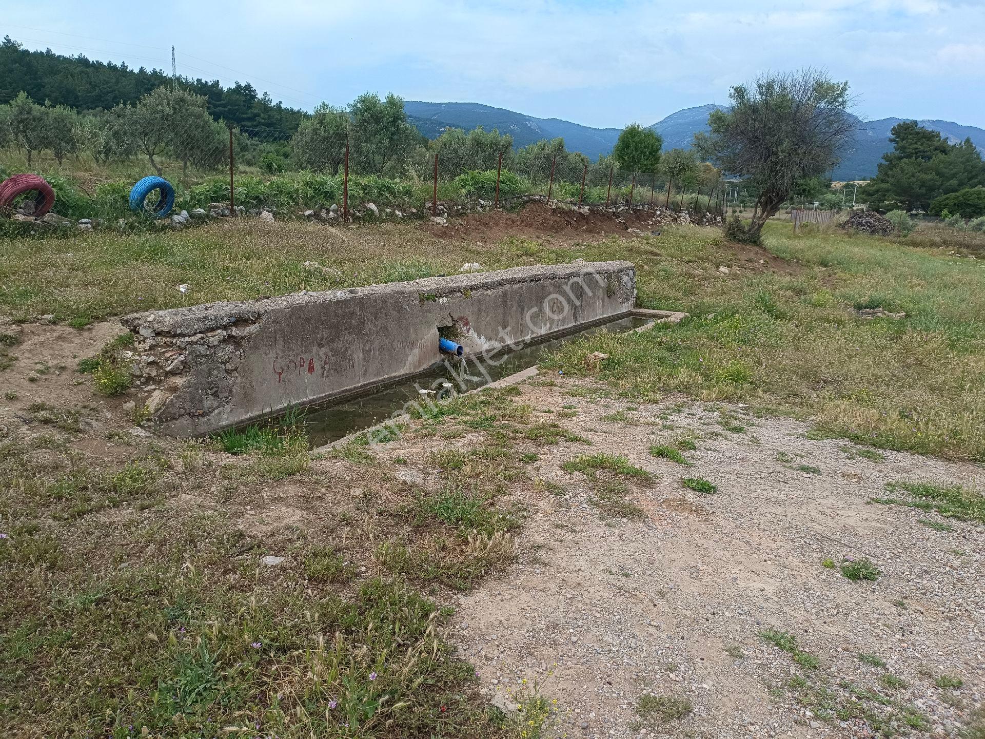 Kırıklarda Satılık 3640 Metre Tek Tapu Tarla - Görsel 10