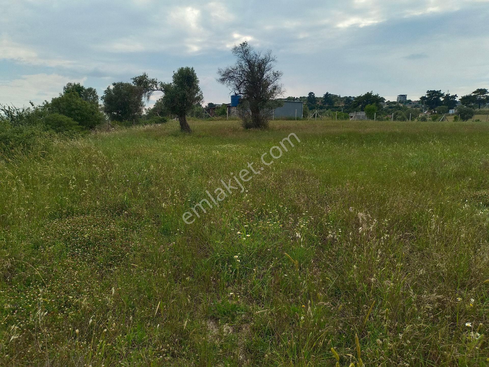 Kırıklarda Satılık 3640 Metre Tek Tapu Tarla - Görsel 12