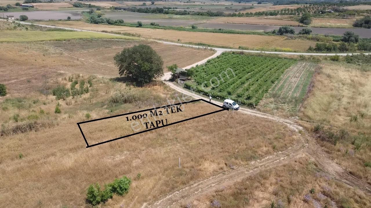 Sazlımalkoç Mah De Tek Tapu Bağlıkta 1000 M2
