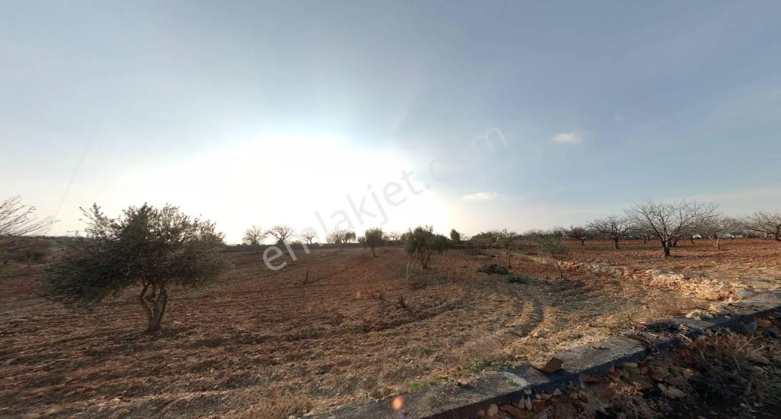 Hanedan Gyo'dan Yağdöver'de Satılık 5.823 M² Arazi - Görsel 3