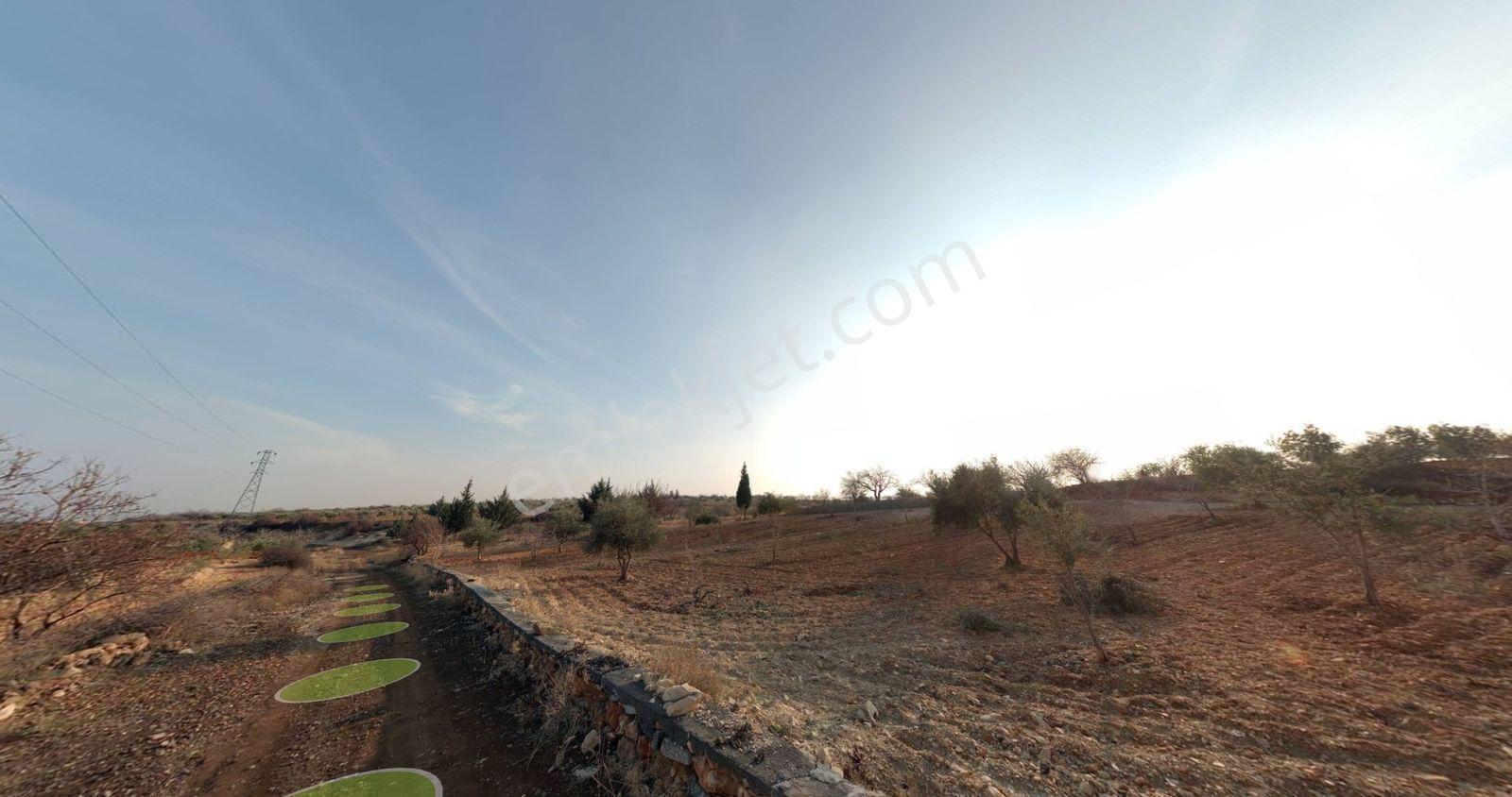 Hanedan Gyo'dan Yağdöver'de Satılık 5.823 M² Arazi - Görsel 6