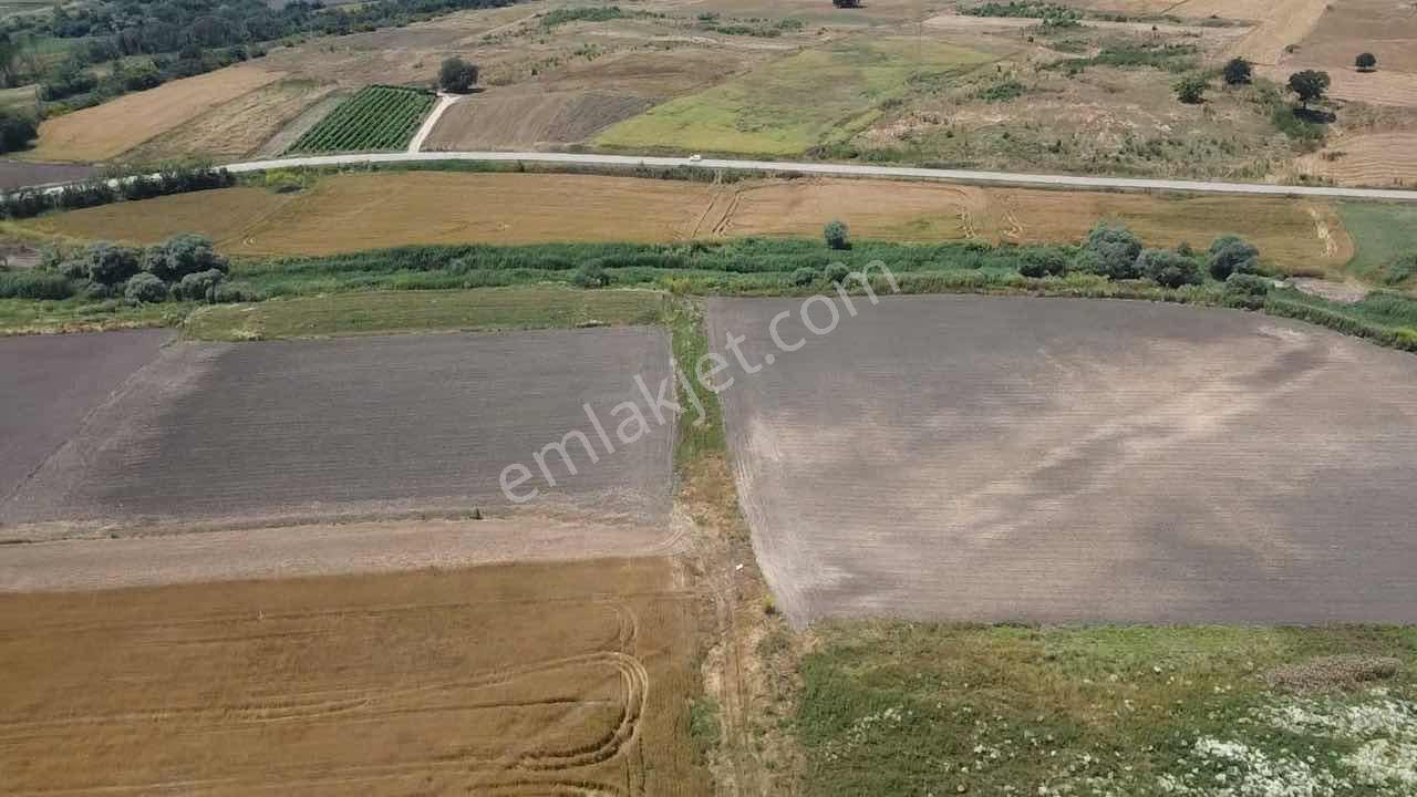 Edirne Uzunköprü Sazlımalkoç Mah De Tek Tapu 6359 M2 - Görsel 7