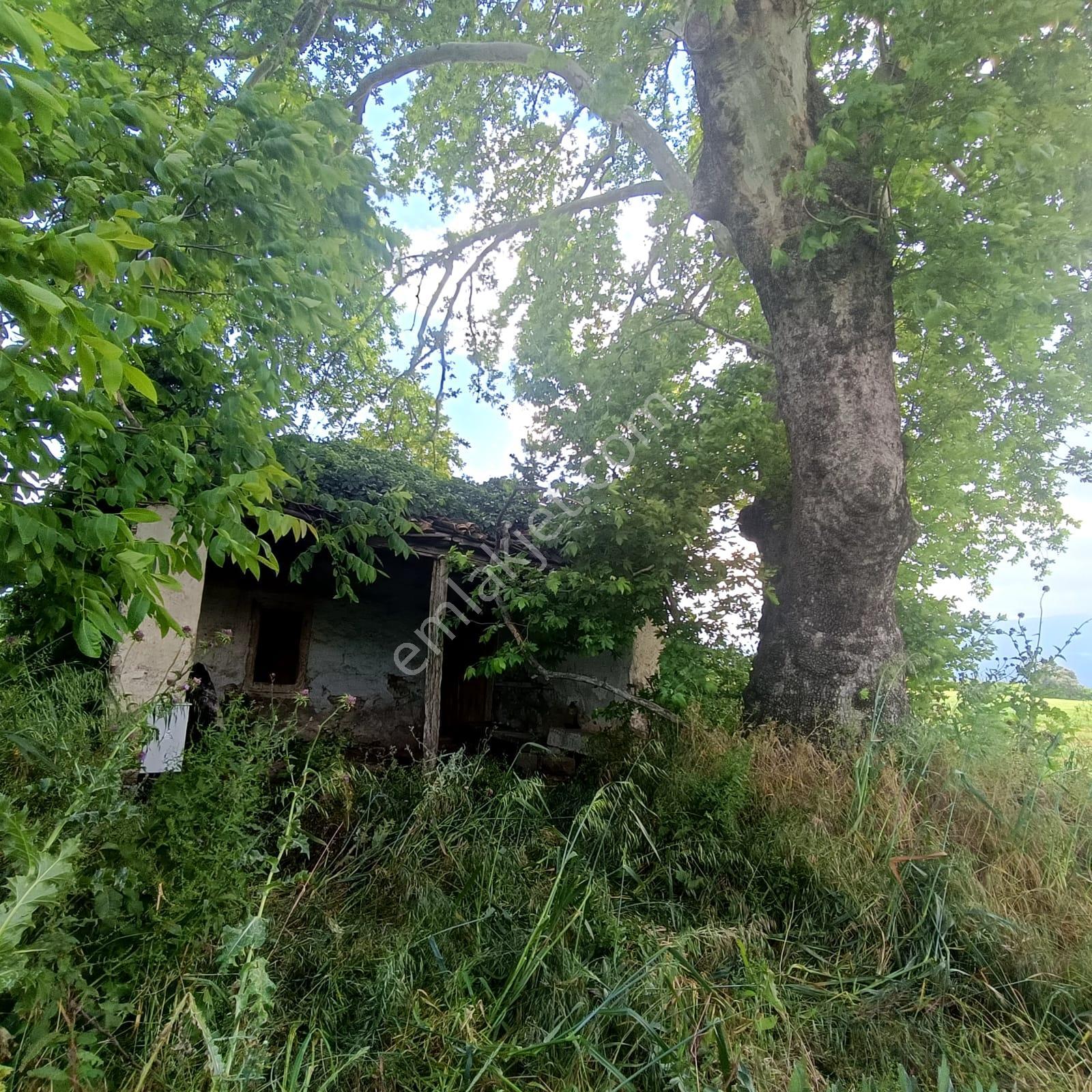 Kemalpaşa Yukarı Kızılca'da Elektrik Ve Su Hazır 31 Dönüm Arazi - Görsel 22